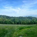 Chalet Terenowka Bacowka