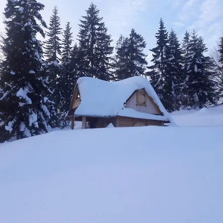 Dağ evi Terenowka Bacowka