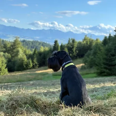 Dağ evi Terenowka Bacowka Waksmund