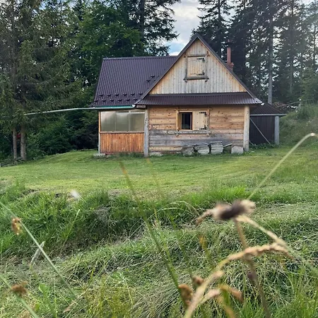 Terenowka Bacowka Dağ evi Waksmund