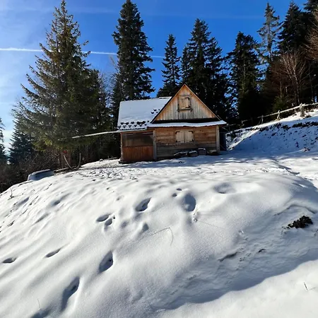 Terenowka Bacowka Waksmund