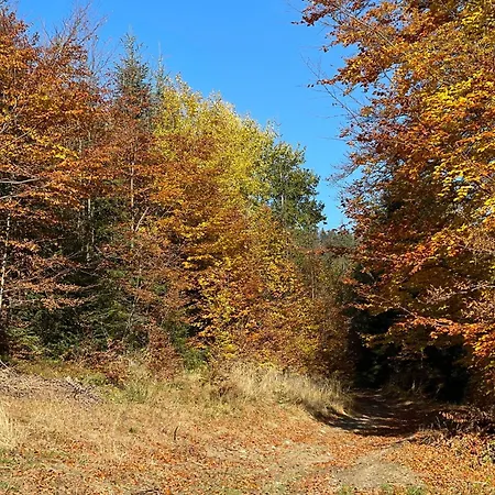 Dağ evi Terenowka Bacowka *