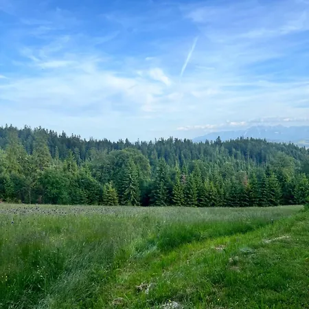 Domek alpejski Terenowka Bacowka
