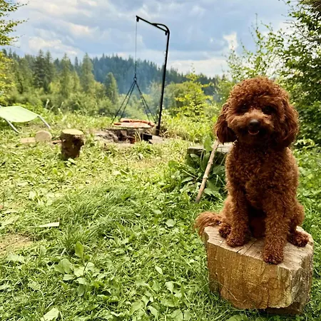 Dağ evi Terenowka Bacowka Waksmund