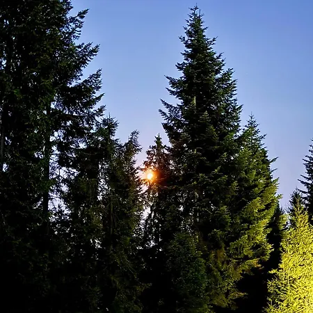 Terenowka Bacowka Dağ evi *