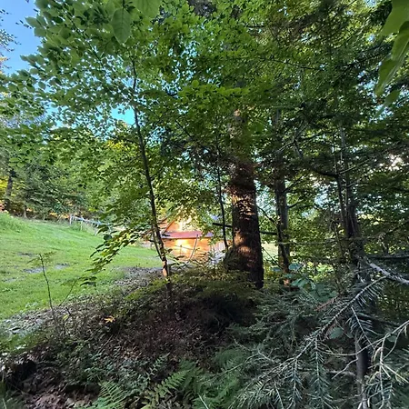 Terenowka Bacowka Chalet