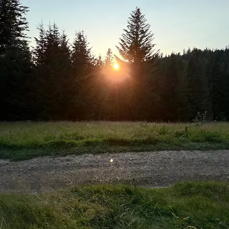 Terenowka Bacowka Waksmund