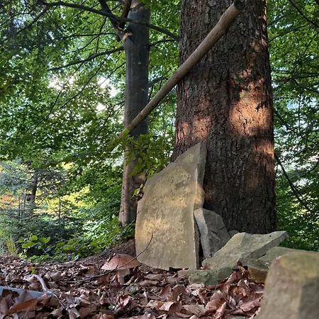 Dağ evi Terenowka Bacowka
