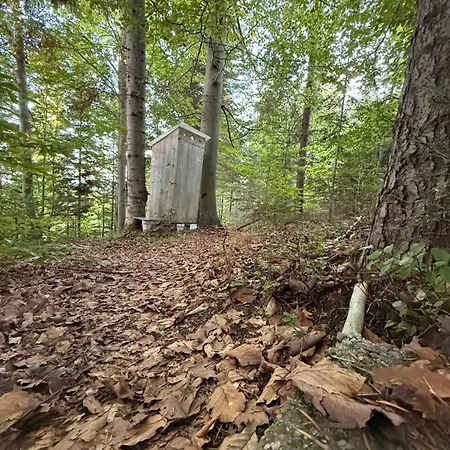 Terenowka Bacowka Dağ evi *