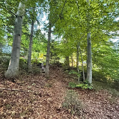 Terenowka Bacowka Dağ evi *