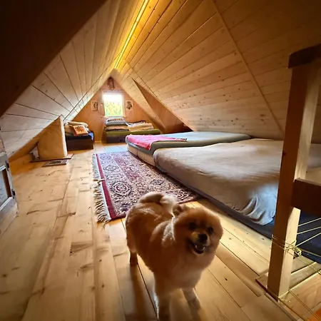 Terenowka Bacowka Chalet *
