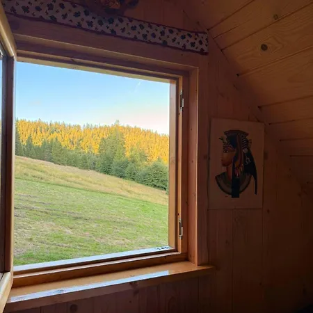 Terenowka Bacowka * Waksmund