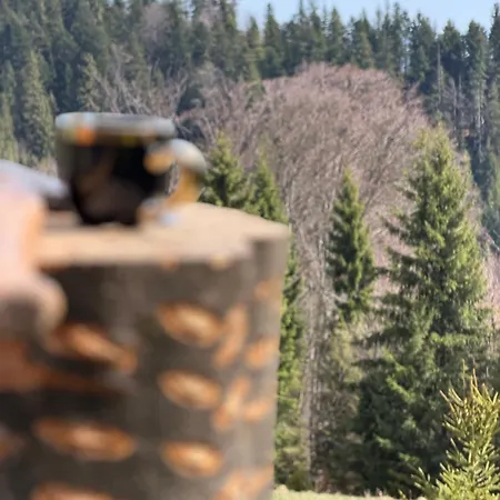Terenowka Bacowka Waksmund