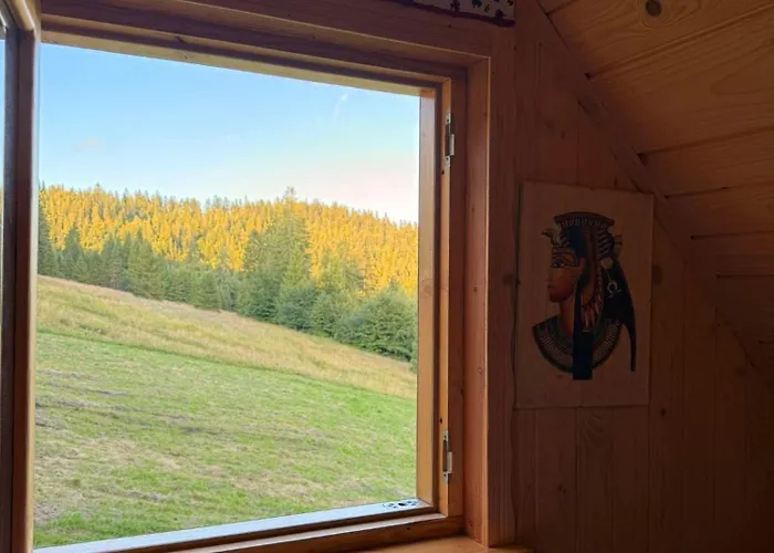 Terenowka Bacowka * Waksmund